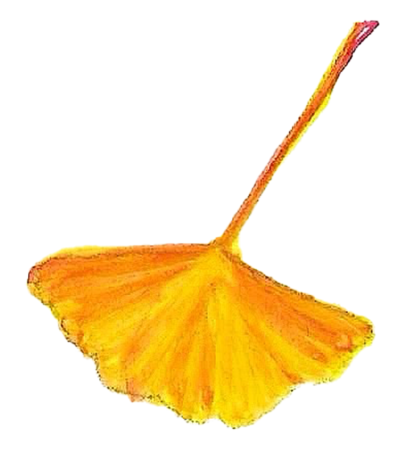 Talleres para escuchar historias