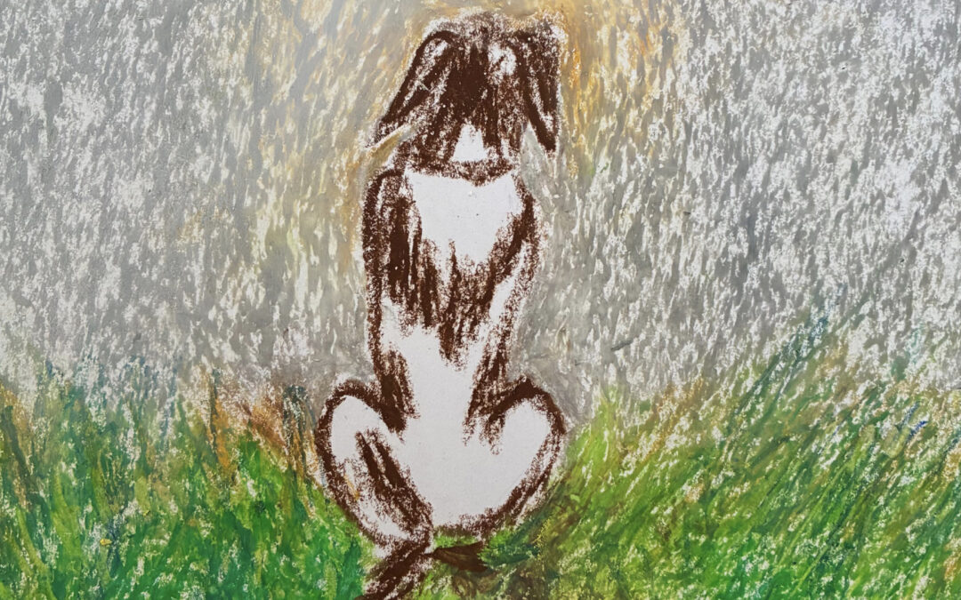 Décimo segundo día de adviento