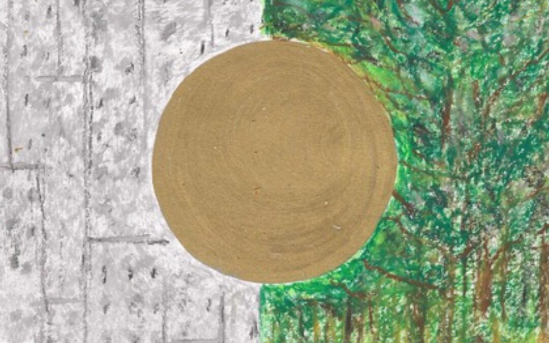 Octavo día de adviento